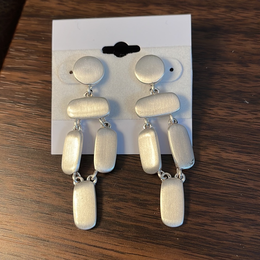 Silver Fashion Earrings Case 10 6029